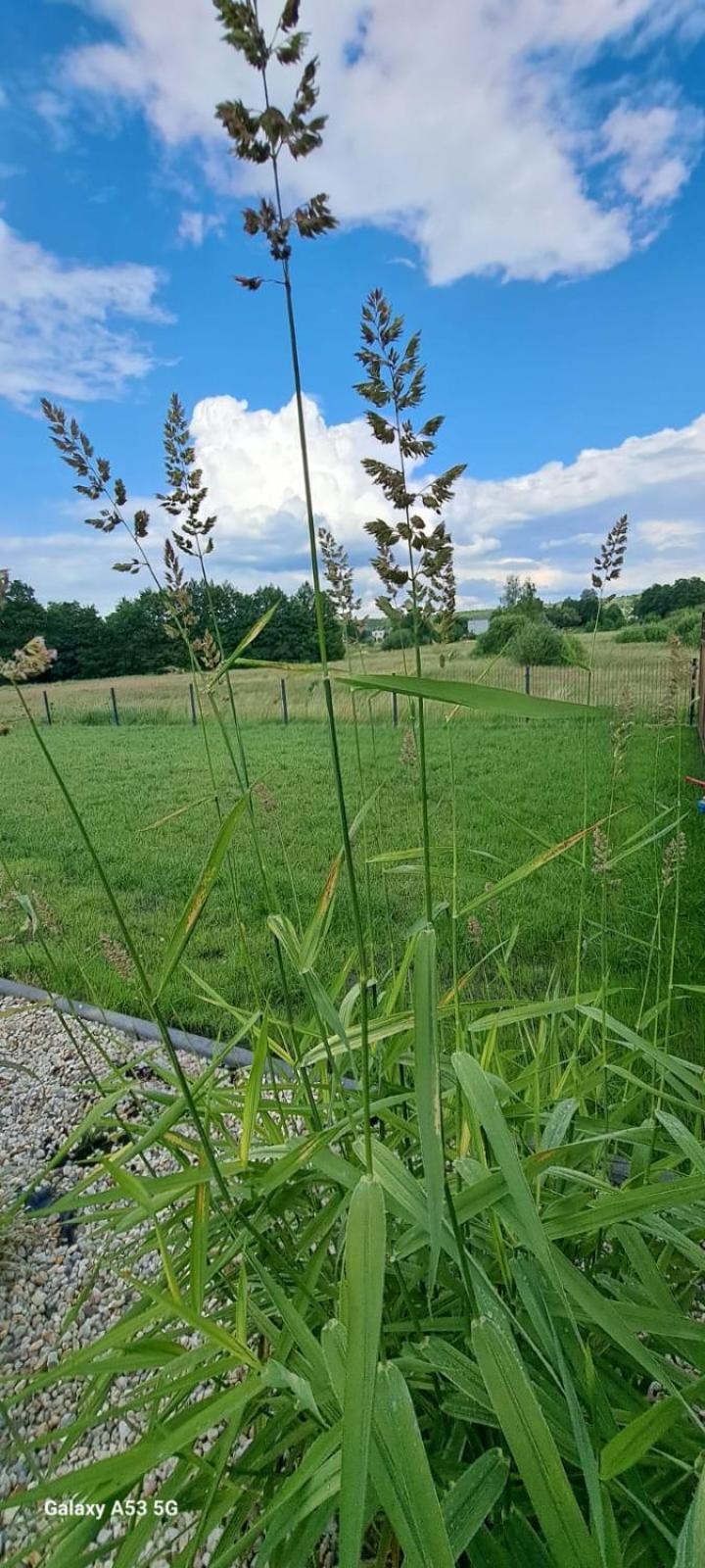 Apartament Słoneczne Wzgórze Lubrza  Zewnętrze zdjęcie